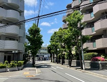03　ドミノピザの前を通り道なりに北へ